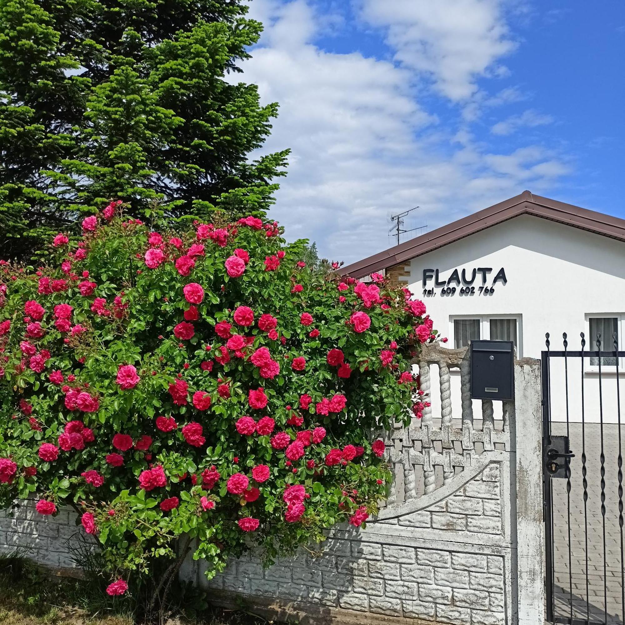 Flauta Apartamenty Rodzinne Mielenko Bagian luar foto